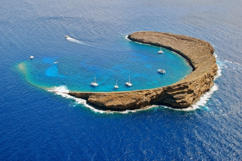 Maui: Molokini Snorkel & Performance Sail avec déjeuner
