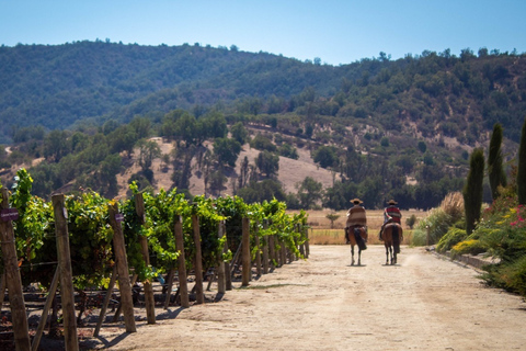 Casablanca: Private Wine Tour at Estancia El Cuadro, Valparaíso, Viña del Mar