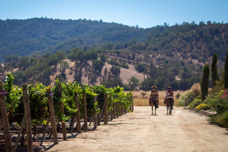 Casablanca: Private Wine Tour at Estancia El Cuadro, Valparaíso, Viña del Mar