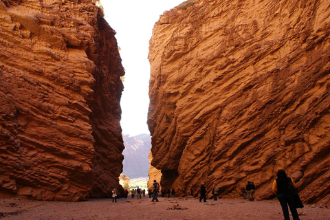 From Salta: Day Trip to Cafayate