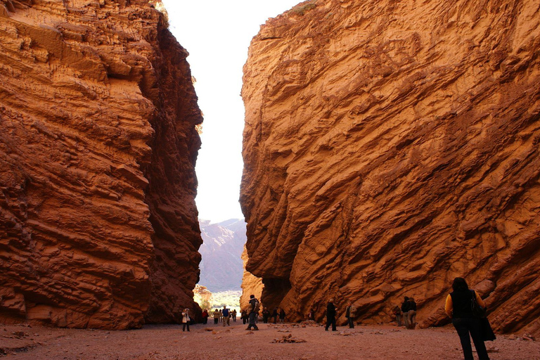 Vanuit Salta: Dagtrip naar Cafayate