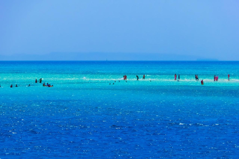 From Sharm: Ras Mohamed, White Island Snorkel & Dive & Lunch 1 Intro Dive Option Beginners & Professional