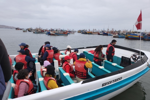 Lima: całodniowa wycieczka do Paracas, winnic i Huacachina
