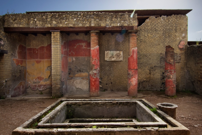 Pompei: Pompeii & Herculaneum Tour met gids voor archeologenPompeii: Pompeii & Herculaneum Tour met gids voor archeologen