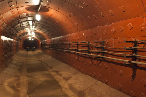 From Riga: Sigulda, Turaida, Cesis & Soviet Bunker Tour