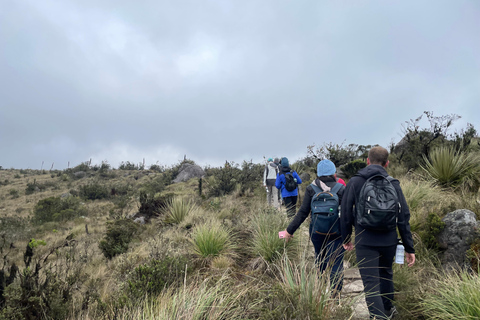 Bogotá: Mataredonda Páramo and Laguna de Teusacá Hike