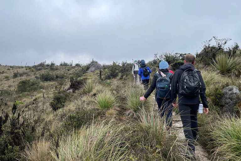 Bogotá: Mataredonda Páramo and Laguna de Teusacá Hike