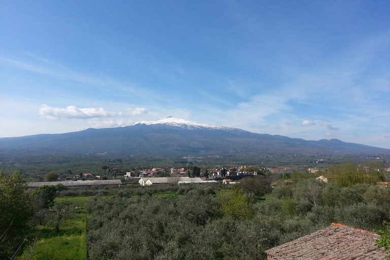 From Cefalù : Etna & Taormina guided tour full day