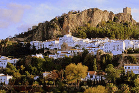 Depuis Séville : Ronda, ville blanche de Setenil et mirador de Zahara