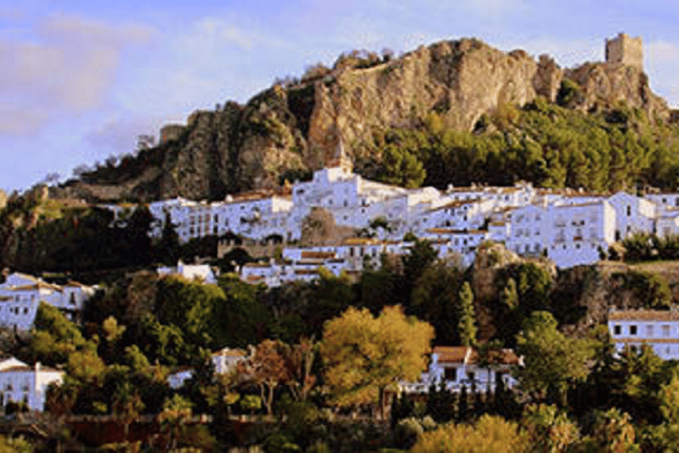 Von Sevilla aus: Ronda, die weiße Stadt Setenil und der Aussichtspunkt Zahara