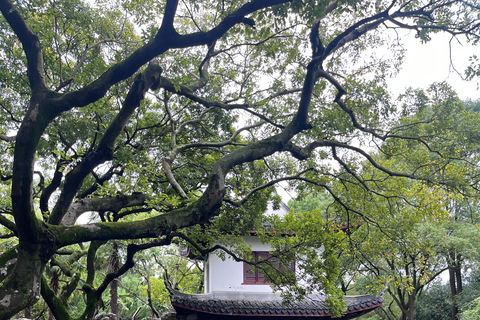 Shanghai: Zhujiajiao Water Town with Tea Ceremony Experience Zhujiajiao Water Town with Tea Ceremony & Boat Ride