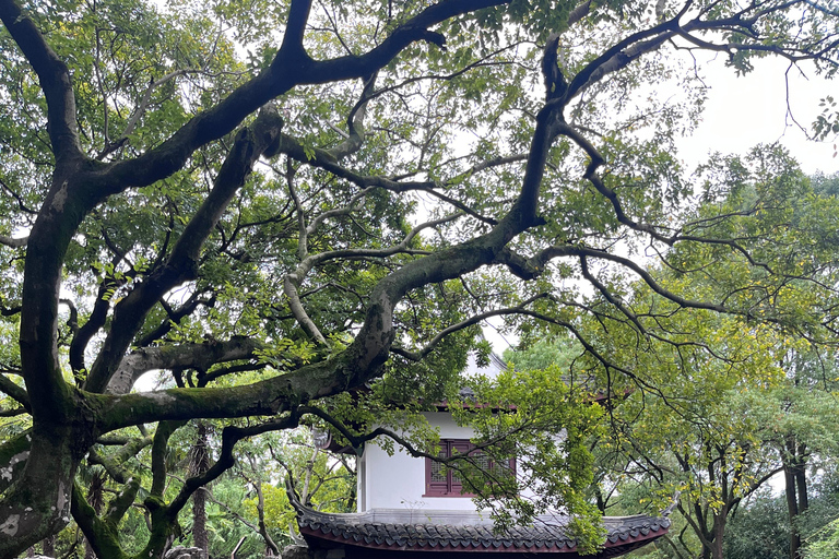 Shanghai: Zhujiajiao Water Town with Tea Ceremony Experience Zhujiajiao Water Town with Tea Ceremony & Boat Ride