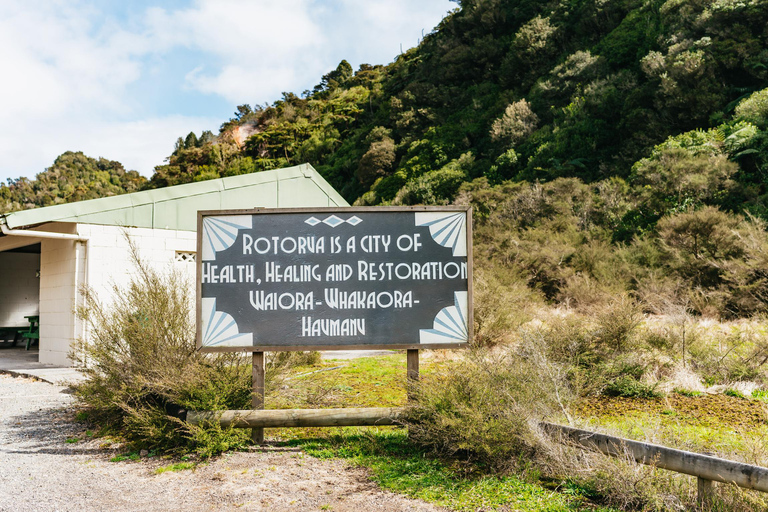 Rotorua: Waimangu Volcanic Valley Entry Ticket