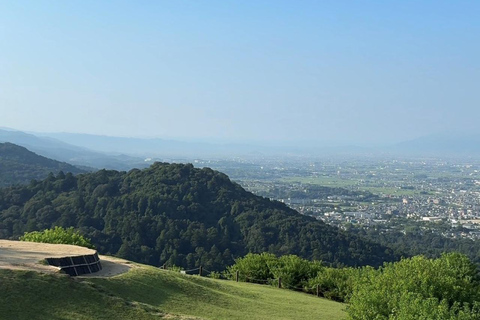 Nara: Jog Through 3 UNESCO World Heritage Sites with Deers Basic Running Plan