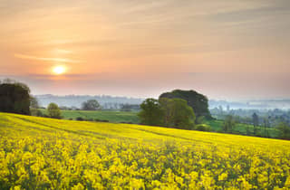 Von Bath aus: Cotswolds Private Day Tour mit Abholung
