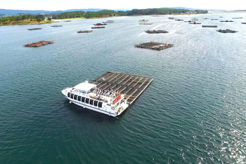 From Santiago: Private Tour to Rias Baixas with Boat Trip