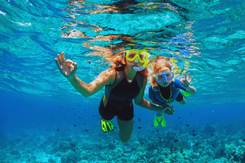 Ao Nang: Excursión de un día en lancha rápida a las islas Phi Phi con buffet