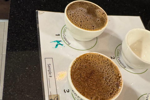 Where Coffee Was Born: Addis Ababa Culture & Highlands Tour
