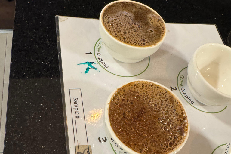 Where Coffee Was Born: Addis Ababa Culture & Highlands Tour