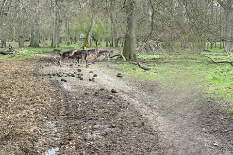 Copenhagen: City Highlights and Deer Park Bike Tour
