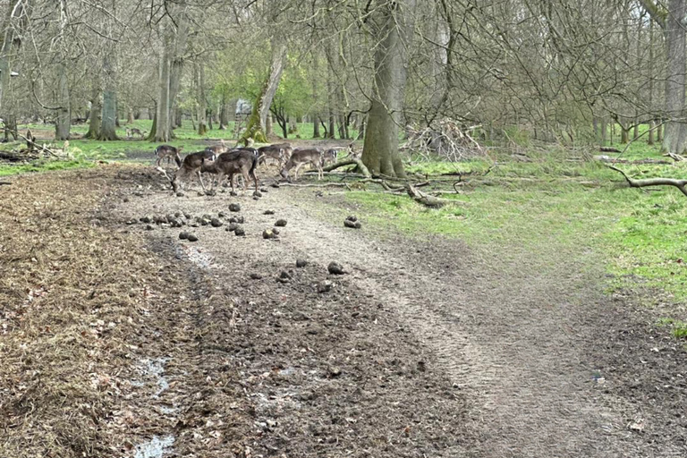 Copenhagen: City Highlights and Deer Park Bike Tour