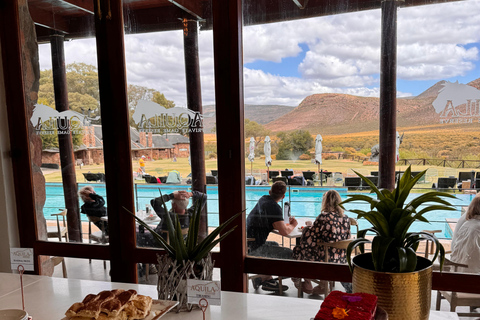 Kaapstad Big 5 Safari-dagtour met ophaalservice vanaf je hotel en GameDriveBeleef een spannende Big-5 safari in Kaapstad