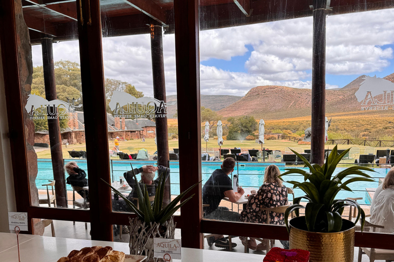 Kaapstad Big 5 Safari-dagtour met ophaalservice vanaf je hotel en GameDriveBeleef een spannende Big-5 safari in Kaapstad