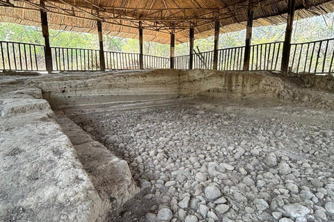 Addis Ababa: Melka Kunture, Adadi, Tiya Prehistoric Day Trip