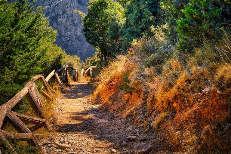 Chania: Samaria Gorge Private Experience–Full Day Adventure