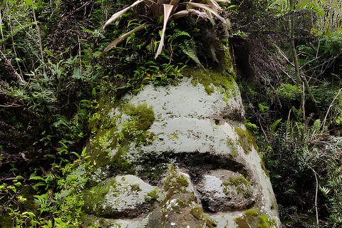 Isola Floreana: Tour delle Galapagos di un giorno intero con le Isole Incantate!