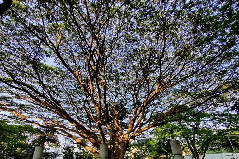 Day Trip to Mysore from Bengaluru with Car, Lunch, and Guide