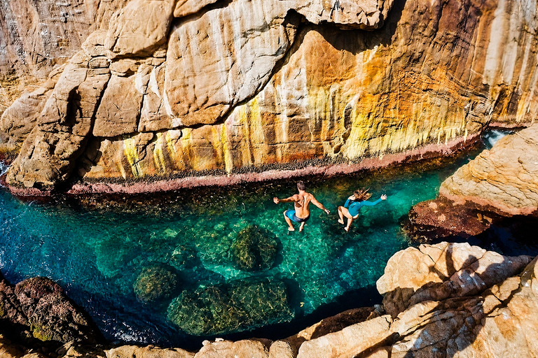 Exclusive Experience in Rio's Secret Paradise with Turtles and Stand-Up Paddleboarding