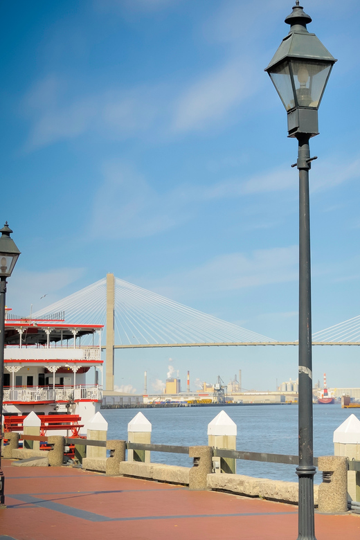 savannah riverboat narrated harbor sightseeing cruise