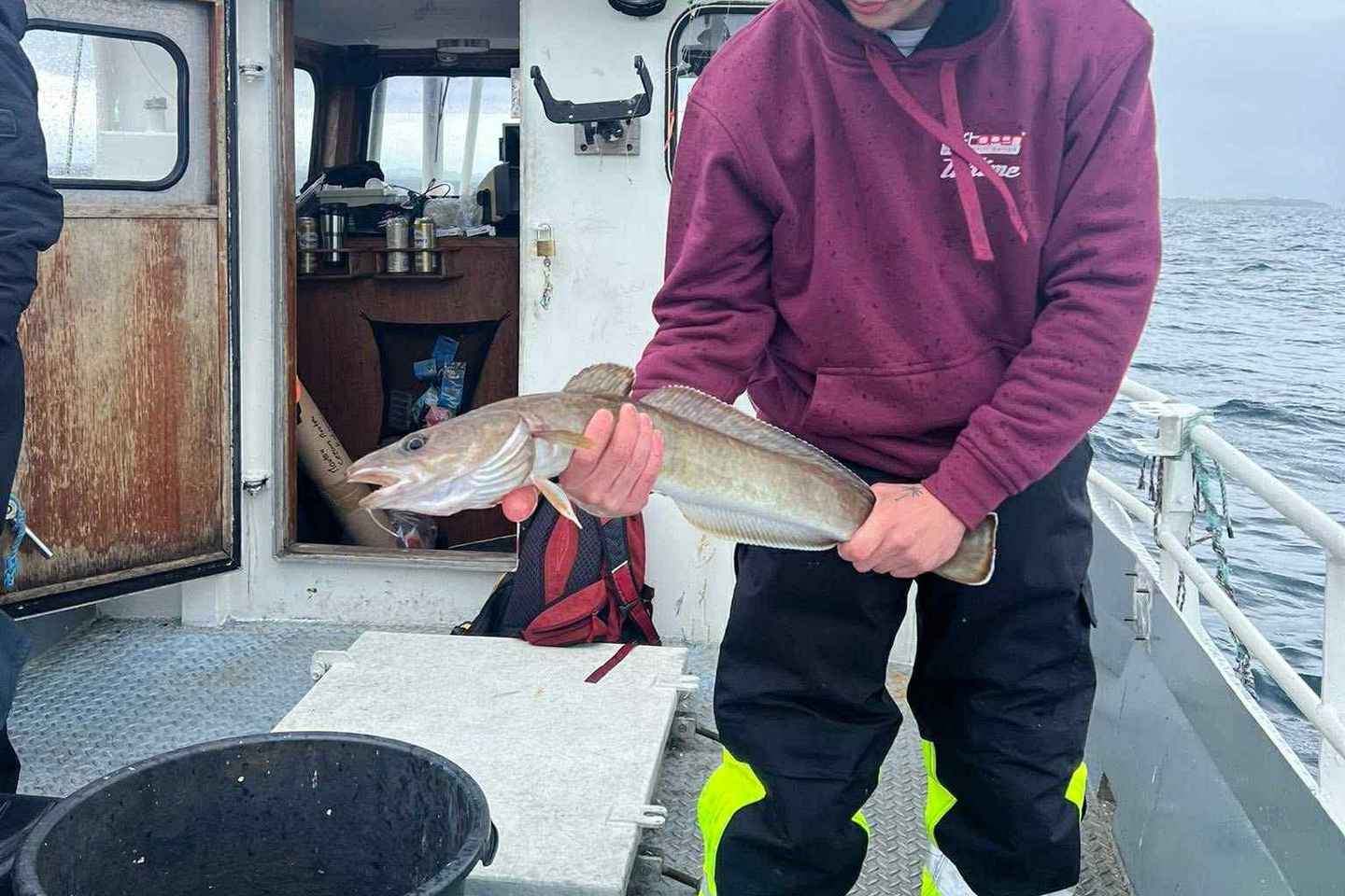 Stavanger : Excursion de Pêche de 5 Heures avec Équipement et Guide