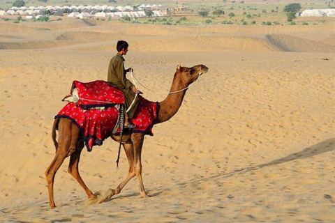 Peru: Camel Ride and Wine Tasting in the Desert