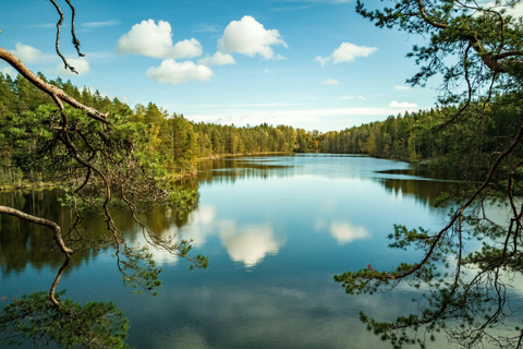 Wandererlebnis im Nuuksio-Nationalpark von Helsinki aus