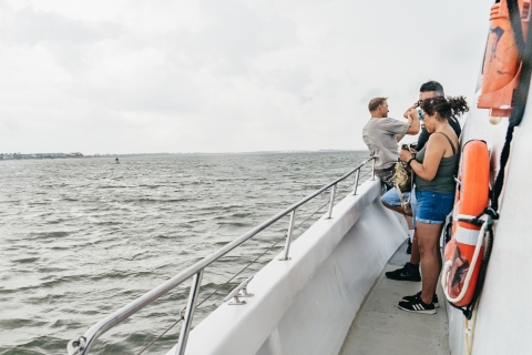 Savannah: rejs z delfinami na wyspie TybeeSavannah: Wycieczka łodzią z obserwacją delfinów na Tybee Island