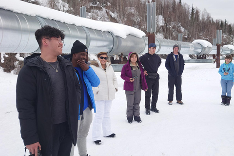 Excursión de un día completo al Círculo Polar Ártico