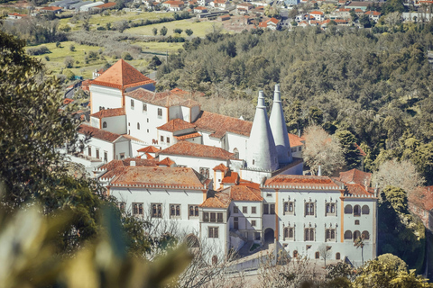 From Lisbon: Sintra Half-Day Tour with Pena Palace Tickets Small Group Tour with Pena Palace Tickets