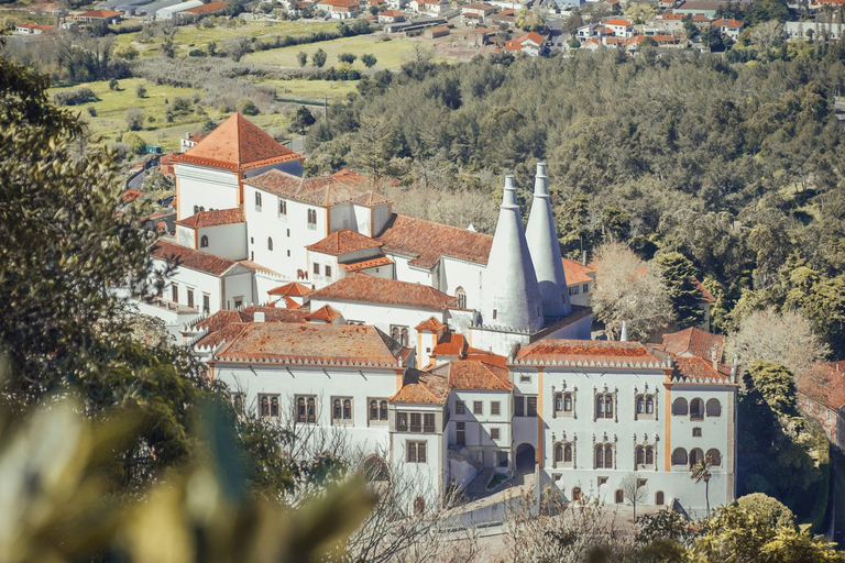 From Lisbon: Sintra Half-Day Tour with Pena Palace Tickets Small Group Tour with Pena Palace Tickets