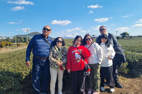 Jeju: Bespoke Sightseeing Tours with Licensed Tour Guide