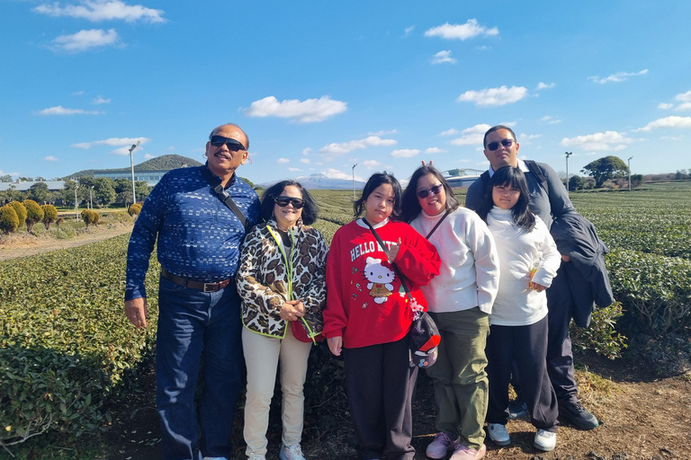 Jeju: Bespoke Sightseeing Tours with Licensed Tour Guide