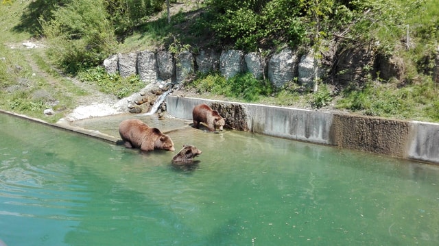 Private Day Trip from Zurich to Bern