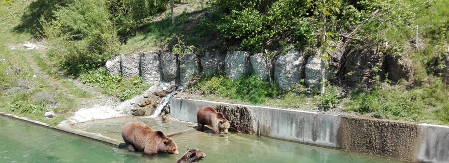 Excursion privée d'une journée de Zoug à Berne