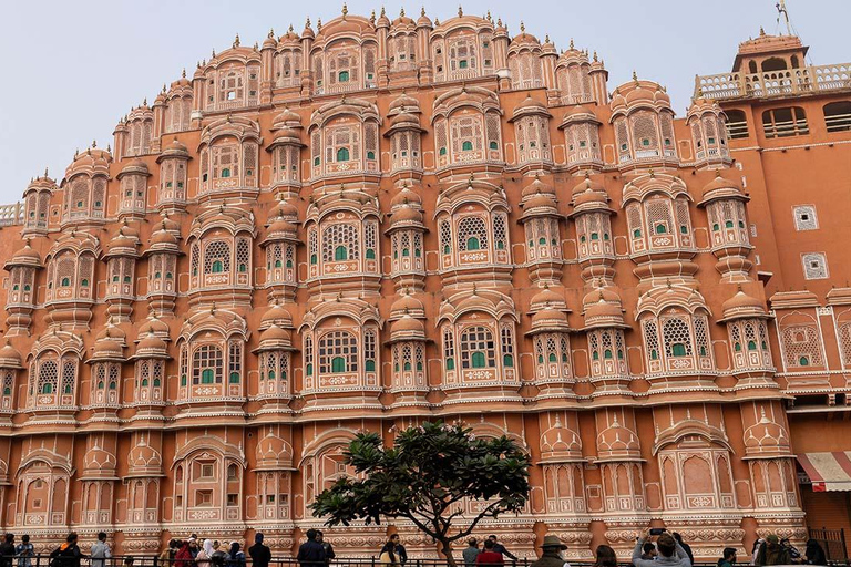 Jaipur Tour am selben Tag mit dem Zug von Delhi aus