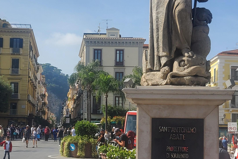 Positano en Sorrento Fantastische tour vanuit NapelsPositano en Sorrento tour van een halve dag vanuit Napels