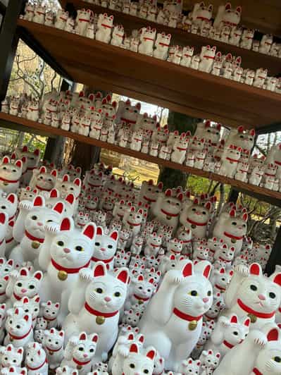 Hidden Tokyo: Shimokitazawa&Gotokuji Lucky Cat Temple Tour