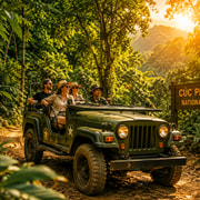 Ninh Binh: Cuc Phuong Private Jeep Tour, Jungle Hiking Ninh Binh: Cuc Phuong Private Jeep Tour, Jungle Hiking