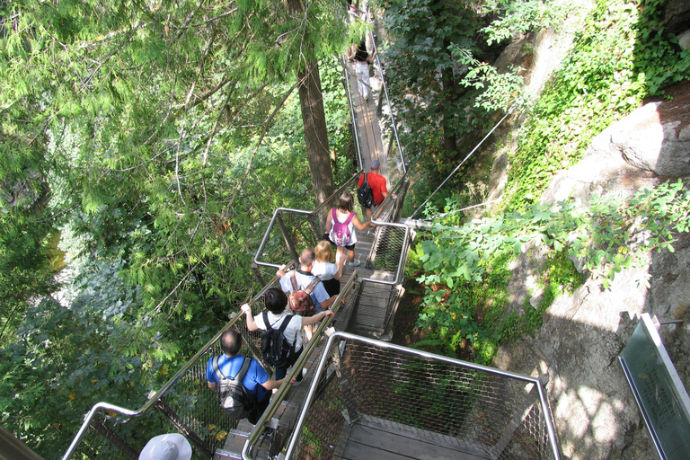 Ponte sospeso di Capilano/Tour privato in auto/Prezzo garantito