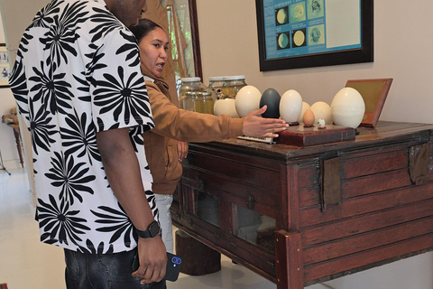 Cape Town: Ostrich Ranch Safari with Hotel Transfer
